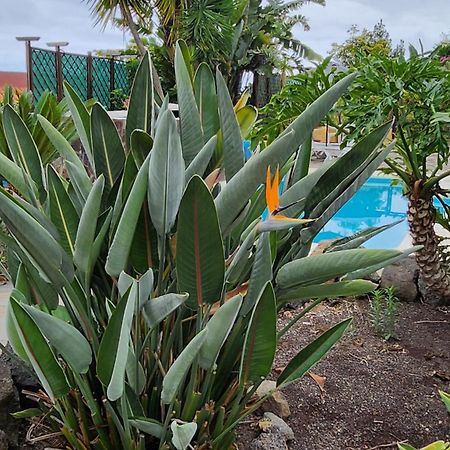 イコー・デ・ロス・ビノス Oasis Hill Botanical Gardenヴィラ エクステリア 写真