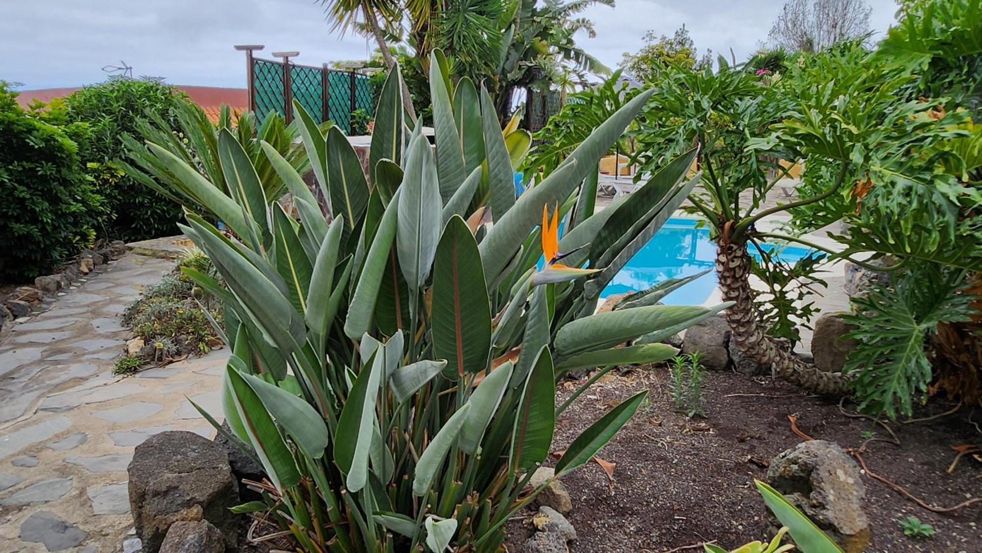 イコー・デ・ロス・ビノス Oasis Hill Botanical Gardenヴィラ エクステリア 写真