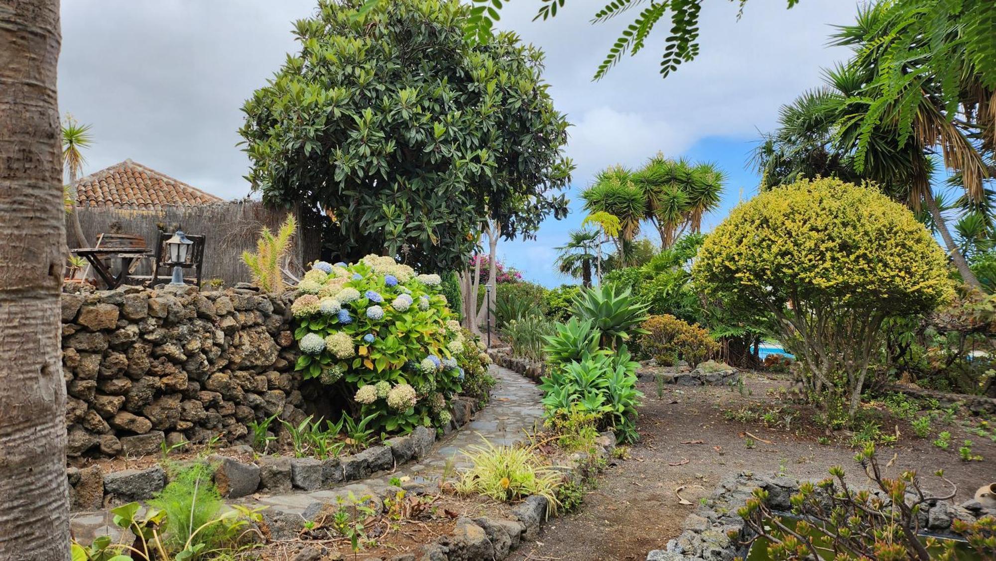イコー・デ・ロス・ビノス Oasis Hill Botanical Gardenヴィラ エクステリア 写真
