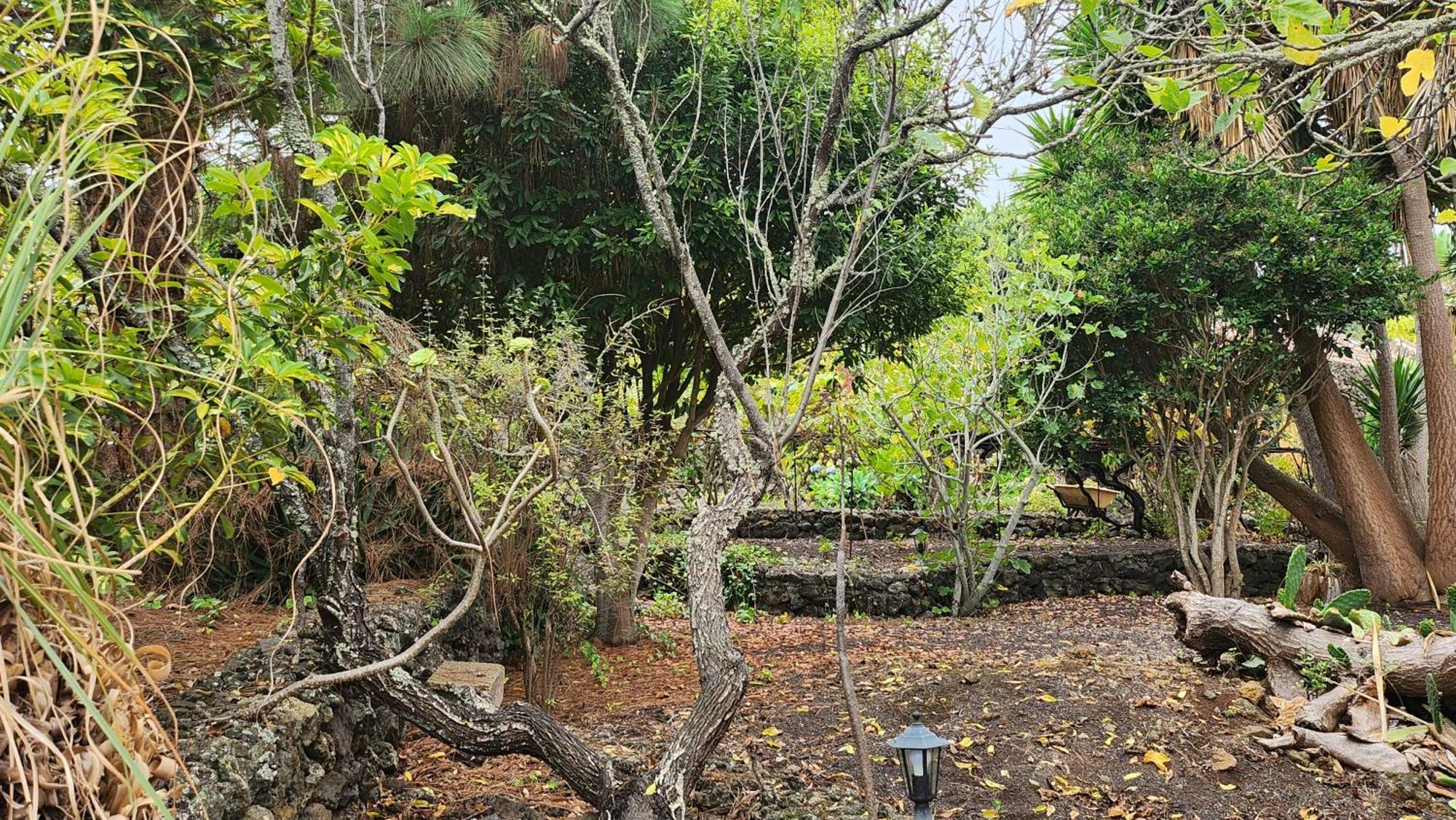 イコー・デ・ロス・ビノス Oasis Hill Botanical Gardenヴィラ エクステリア 写真