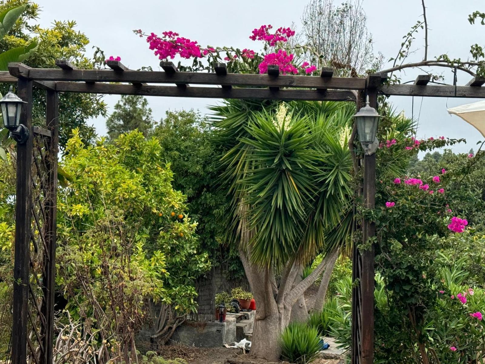 イコー・デ・ロス・ビノス Oasis Hill Botanical Gardenヴィラ エクステリア 写真